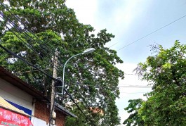 Bán Nhà Lô Góc Mặt Tiền KD Đỉnh 150m2_6*21 Gần Vincom Lê Văn Việt Thủ Đức Tăng Nhơn Phú B Chỉ 12.2 tỷ